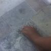 thereepeduzii